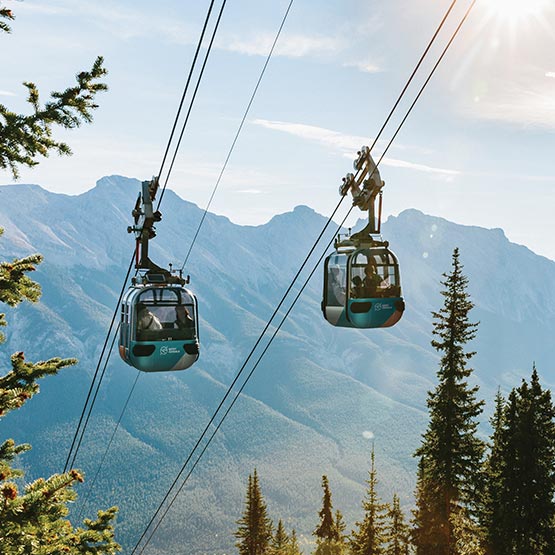 Two gondola cabins pass each other going up and down cables above a forested mountainside.